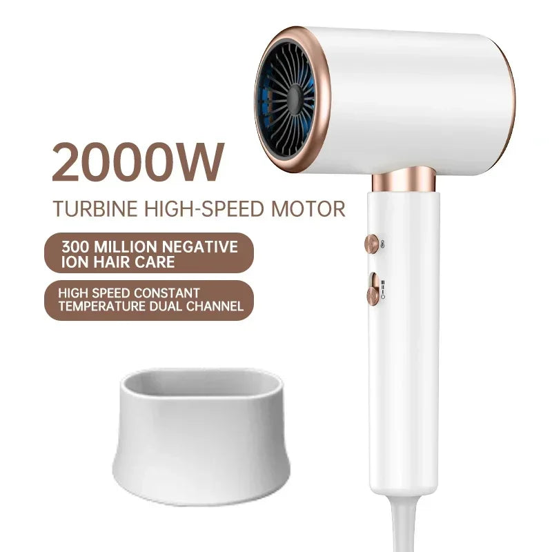 Electric Turbine Hair Dryer